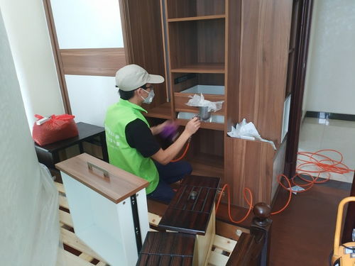 守護清新空氣，構筑健康空間——綠凈源廈門辦公室除甲醛公司專業服務解析